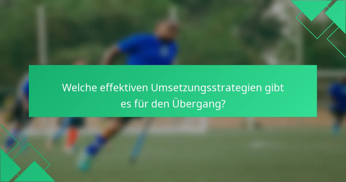 Welche effektiven Umsetzungsstrategien gibt es für den Übergang?